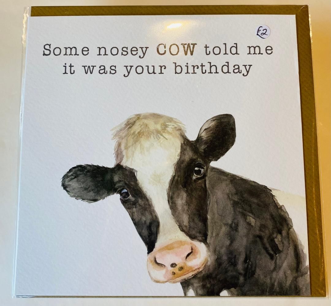 'Nosey Cow' Card