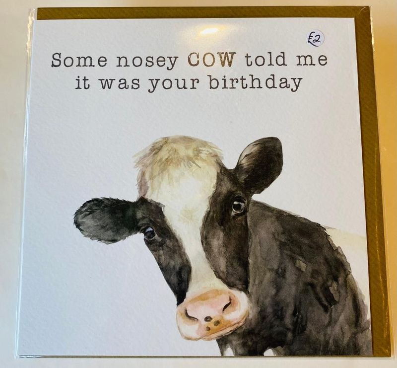 'Nosey Cow' Card