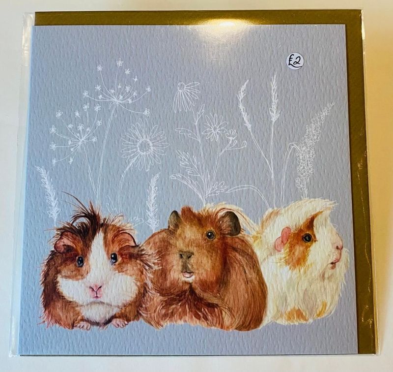 'Guinea Pigs' Card