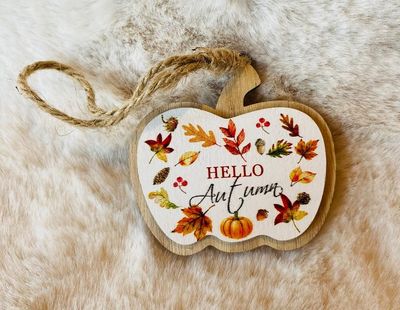 'Hello Autumn' Hanger (B)