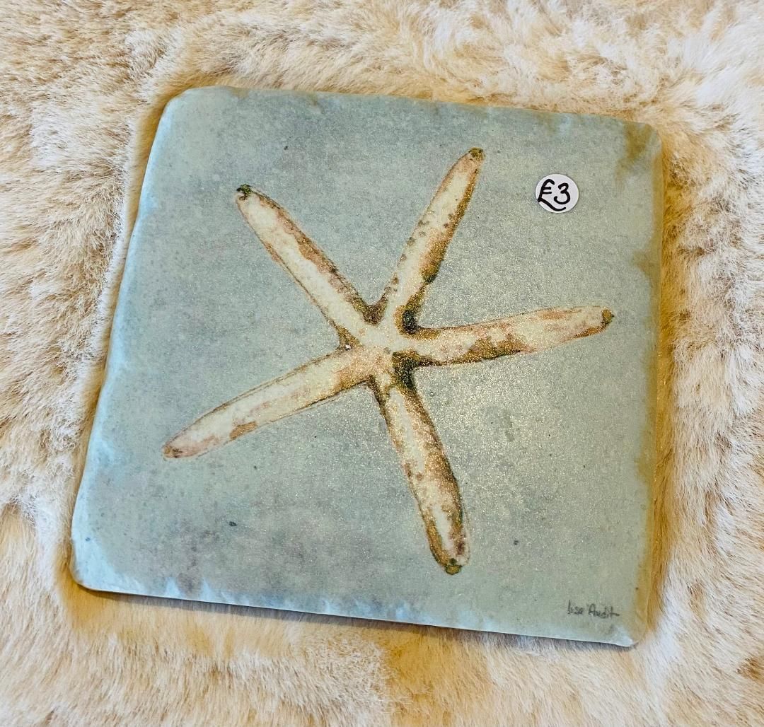 'Shells' Coaster (B)