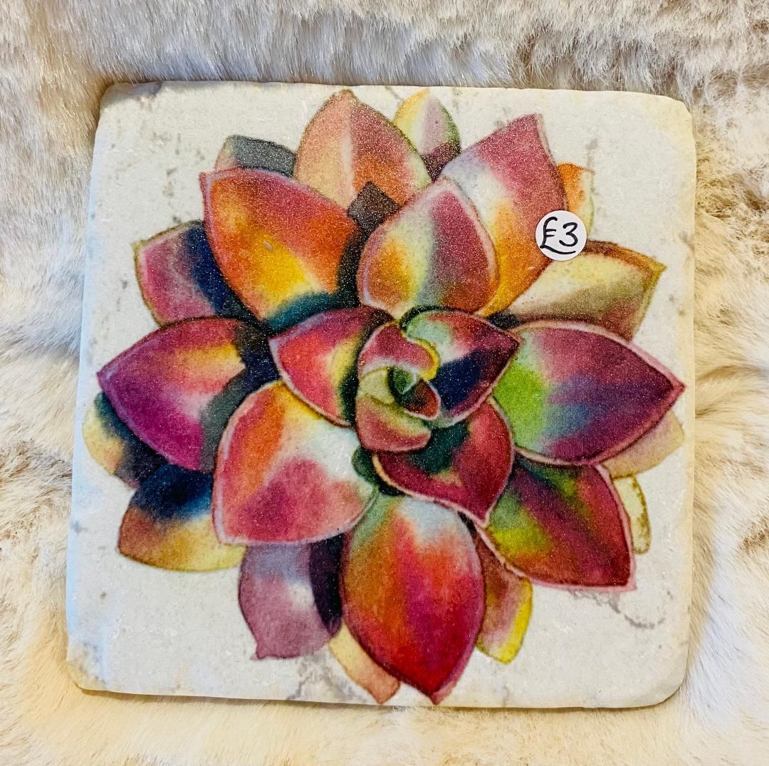 'Succulents' Coaster (D)