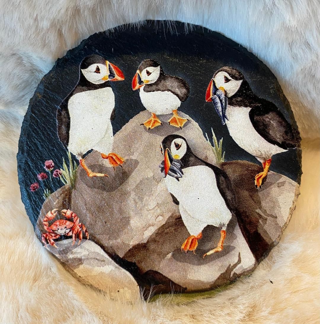 'Puffins' Coaster (A)
