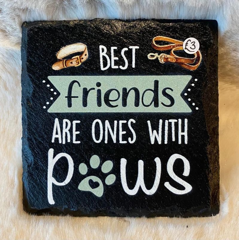 'Best Friends/Paws' Slate Coaster