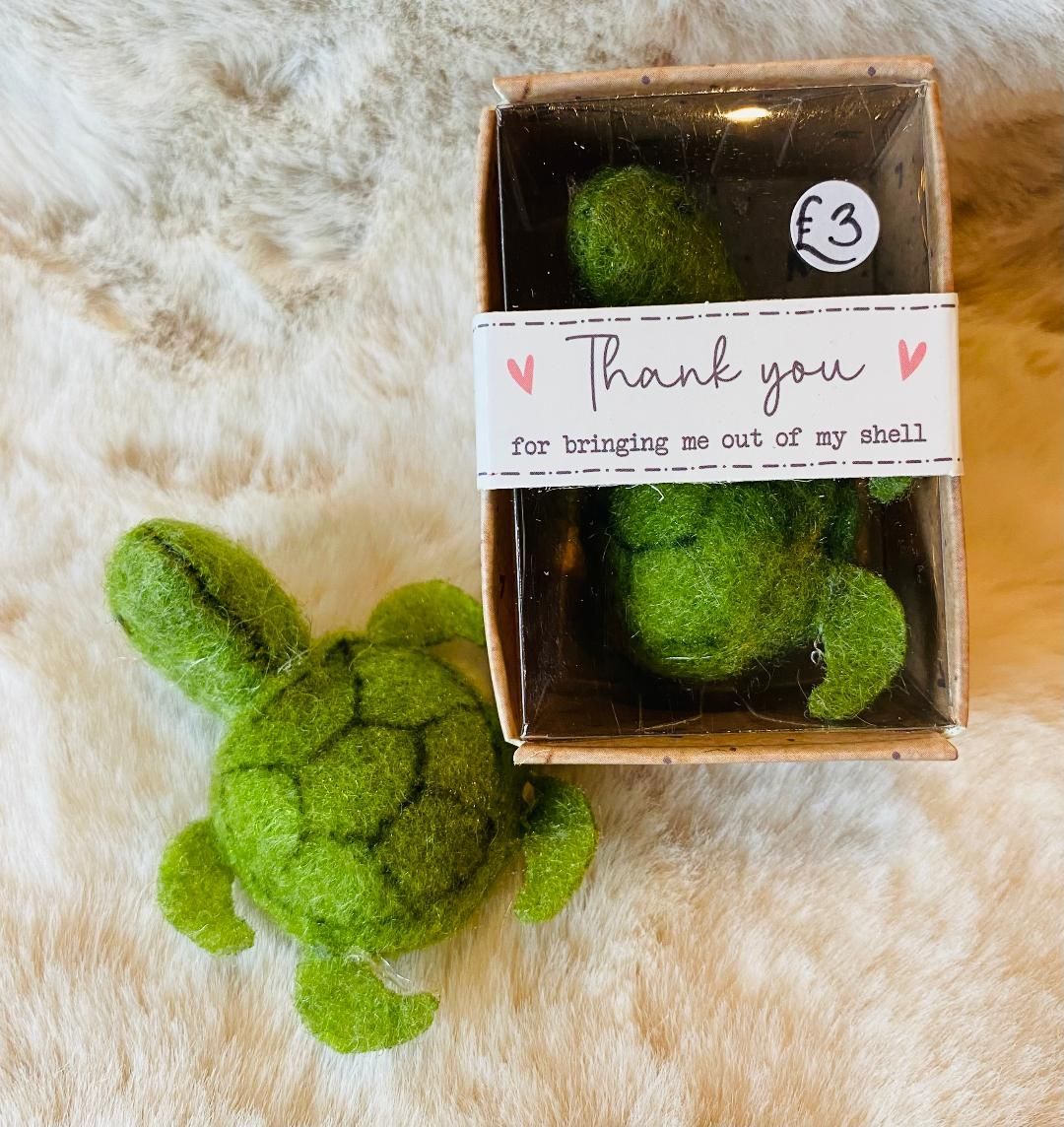 Tiny World 'Turtle' Keepsake