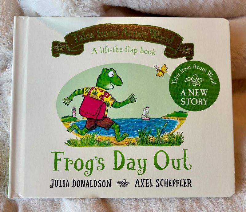 'Frog's Day Out' Board Book