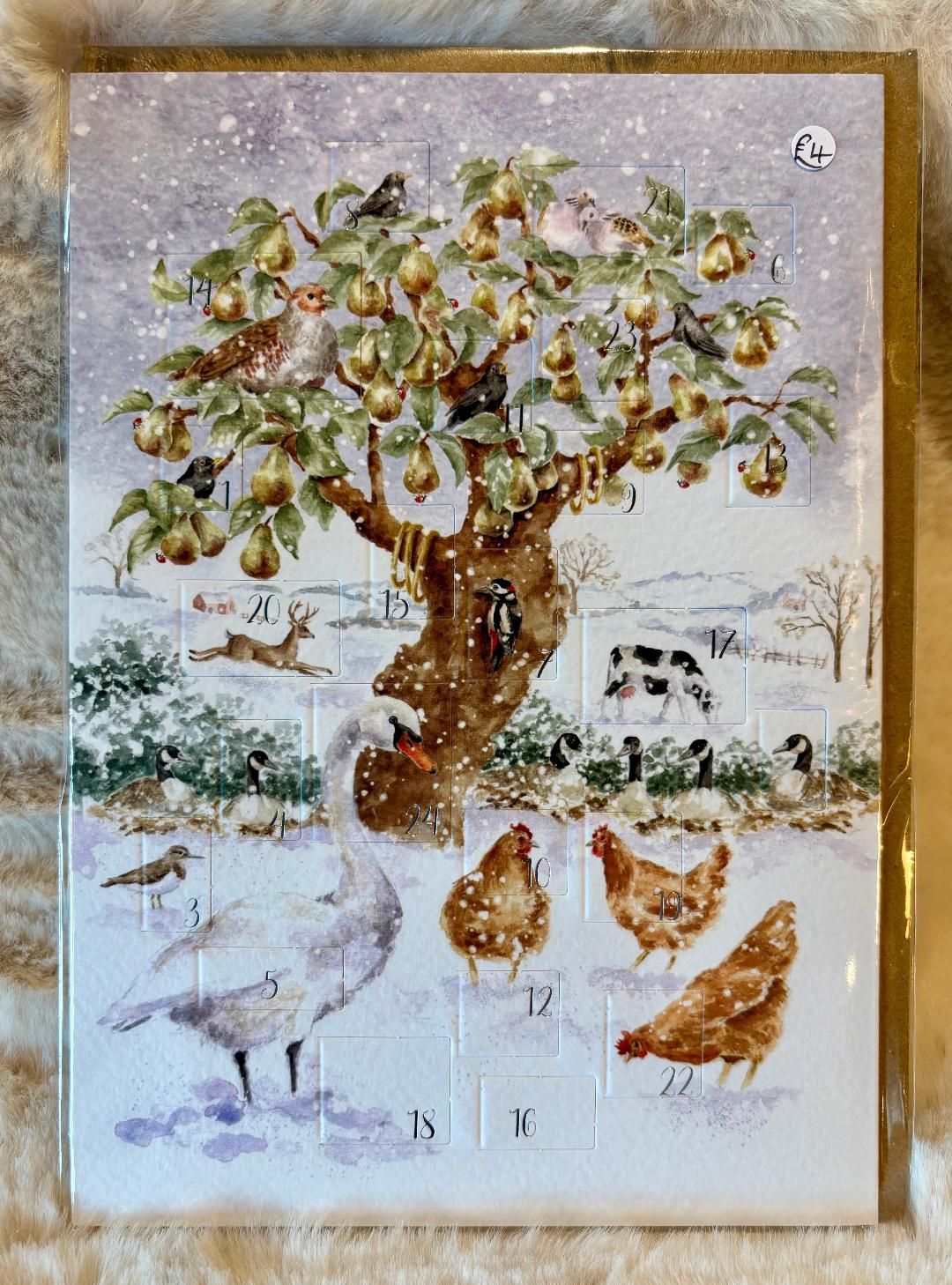'12 Days Of Christmas' Advent Card