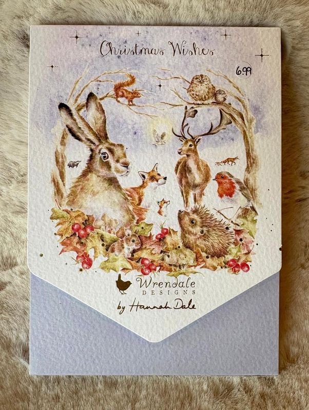 'Winter Wonderland' Xmas Card Pack