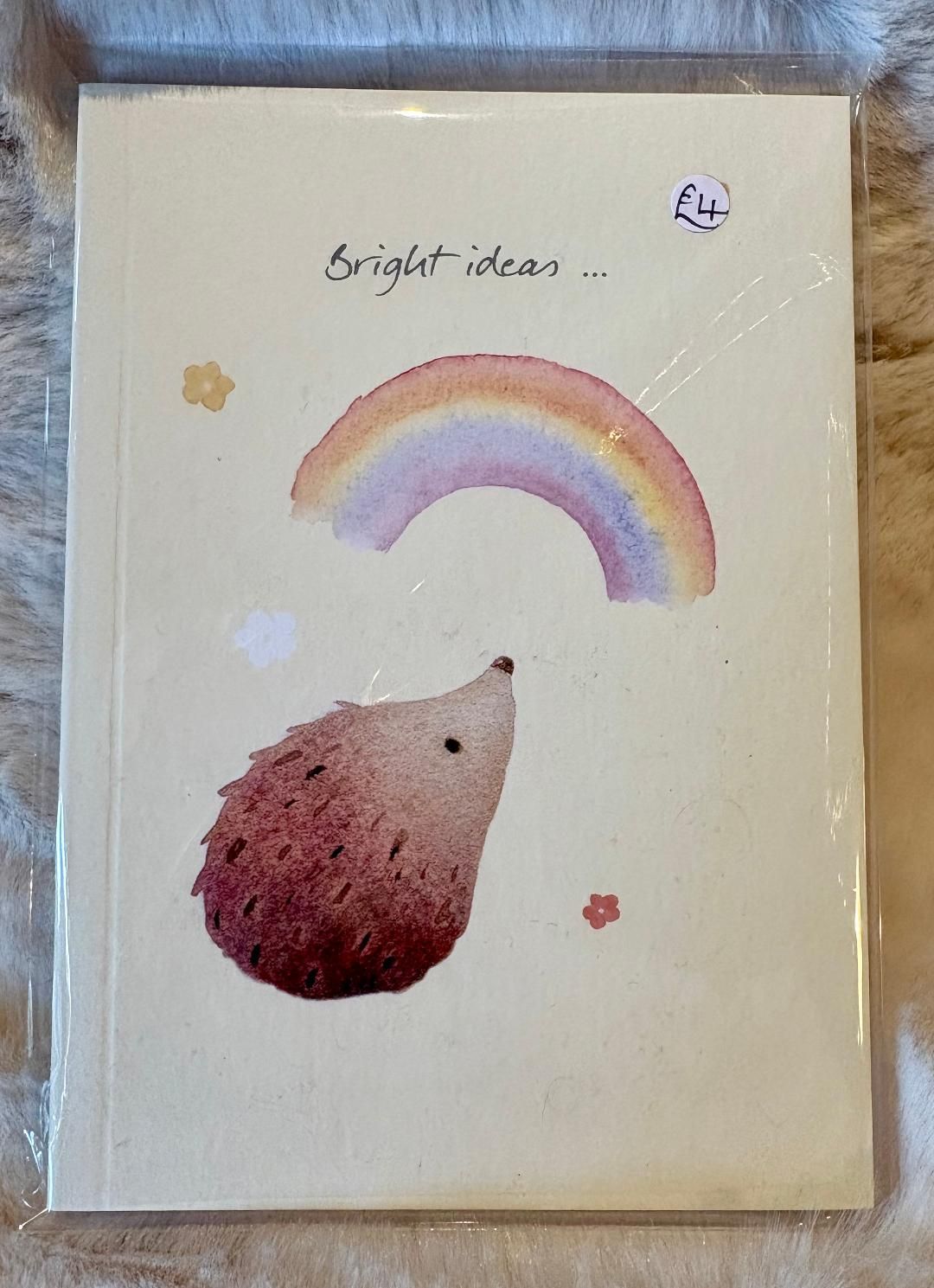'Hedgehog/Rainbow' A6 Notebook