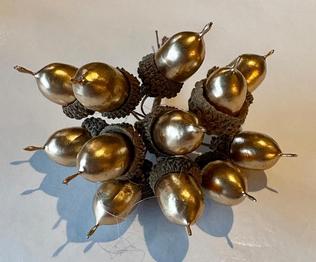 'Golden Acorns' Pick