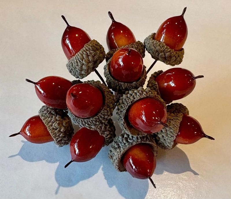 'Acorns' Pick