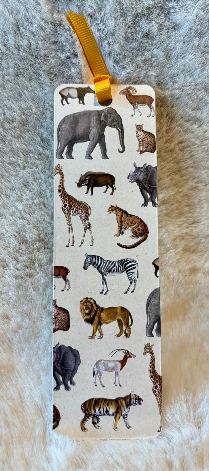 'Safari' Bookmark