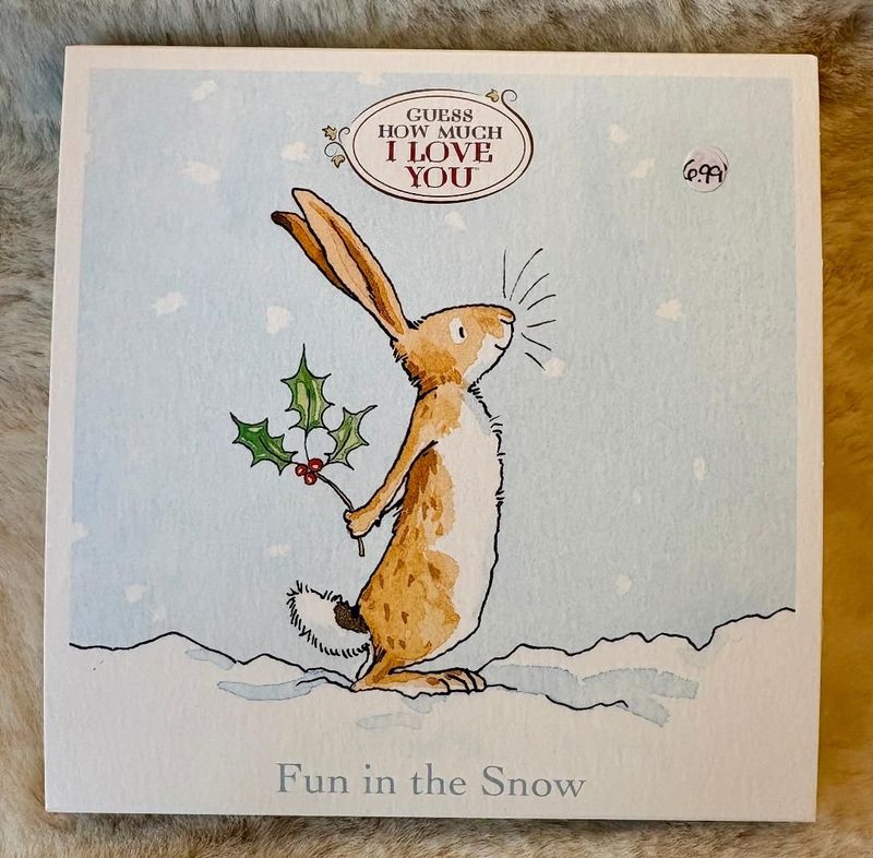 16 (Fun In The Snow) Xmas Card Pack