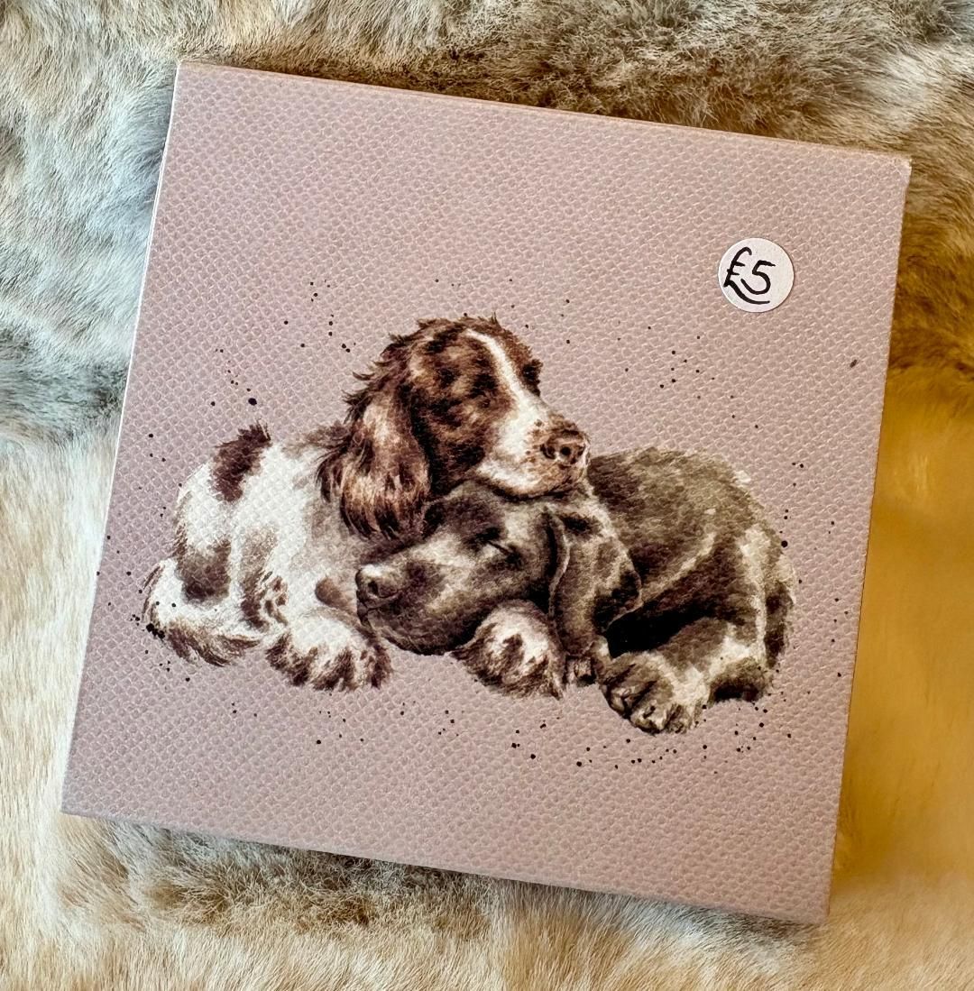 'Dogs' Sticky Notes Block