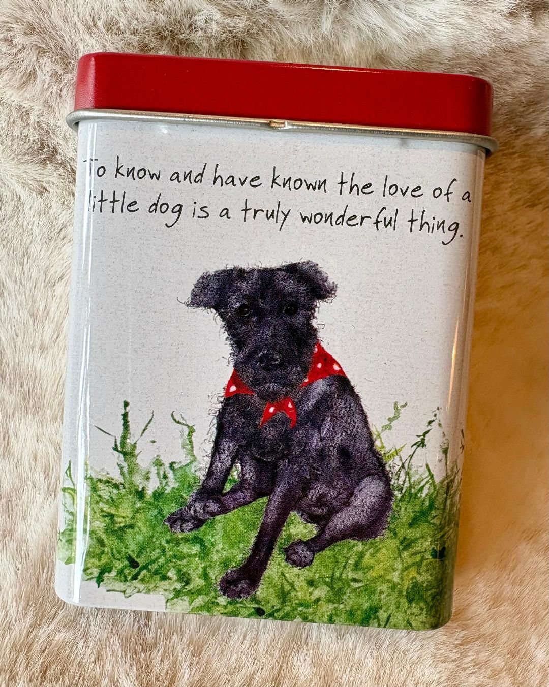 'Love Of A Dog' Treats Tin