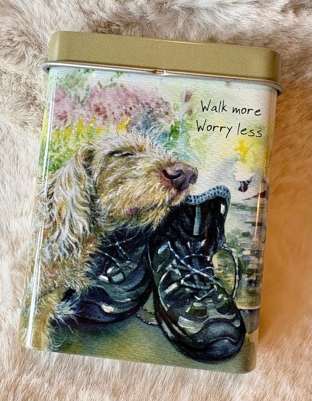 'Walk More, Worry Less' Treats Tin