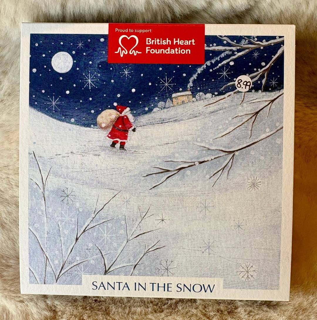 'Santa/Snow' Pk20 Xmas Cards