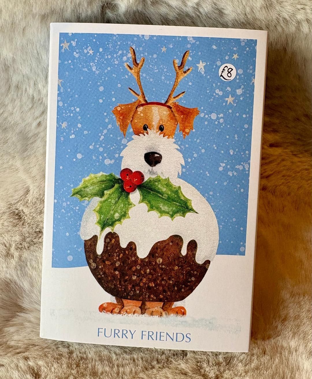 'Furry Friends' Pk20 Xmas Cards