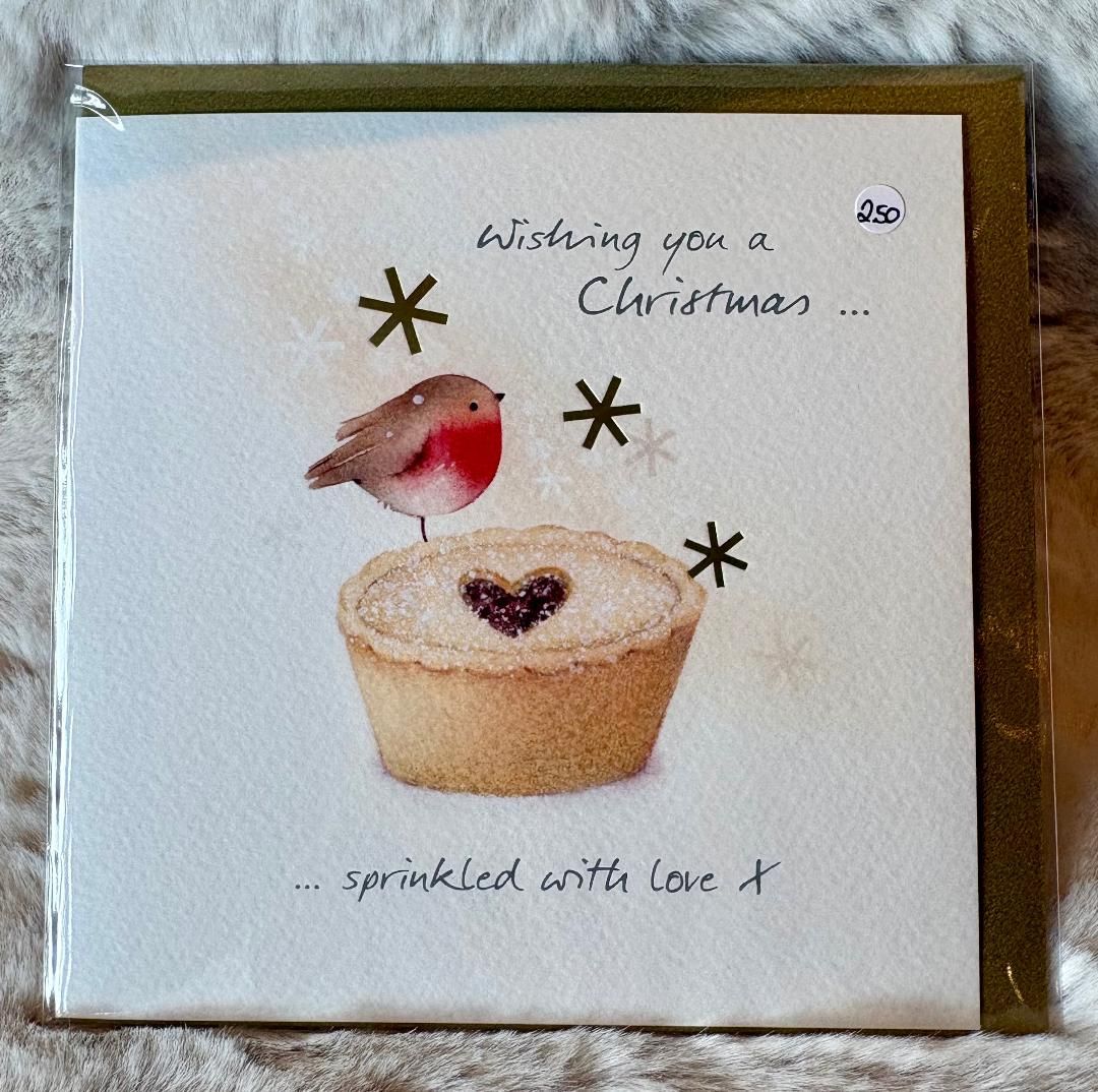 'Robin's Mince Pie' Card