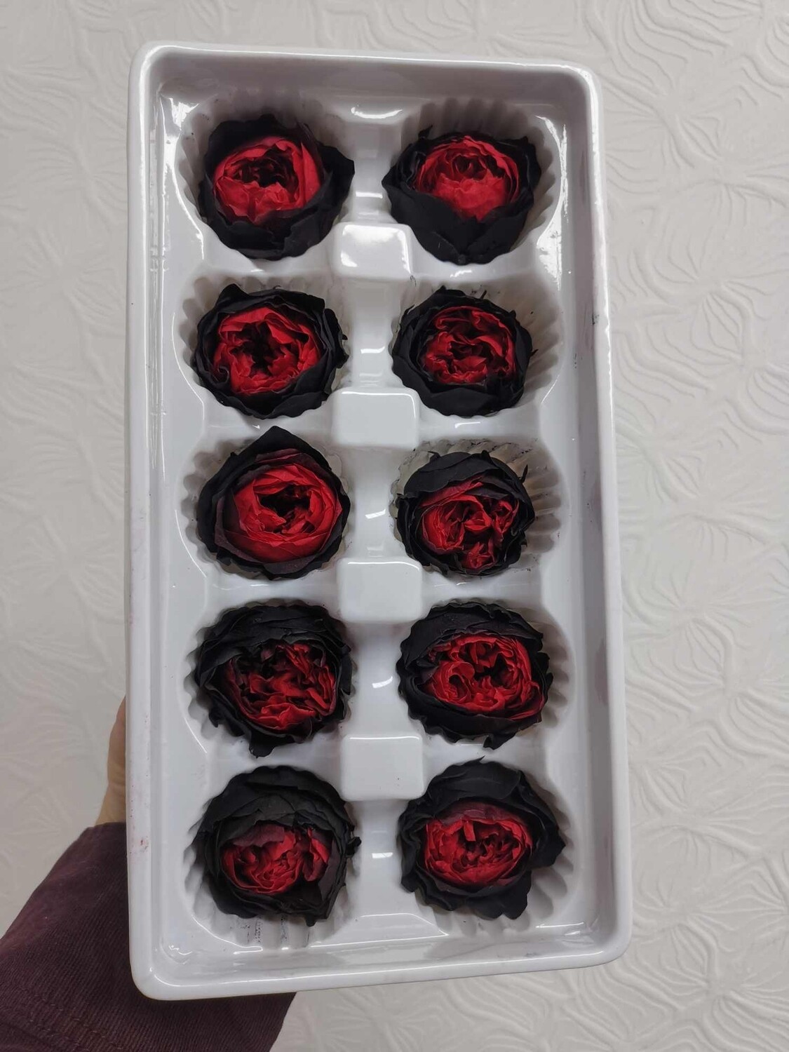 Роза чёрная с красной серединой 3-3,5см пионовидная