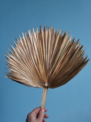 Palm leaf natural dried gold