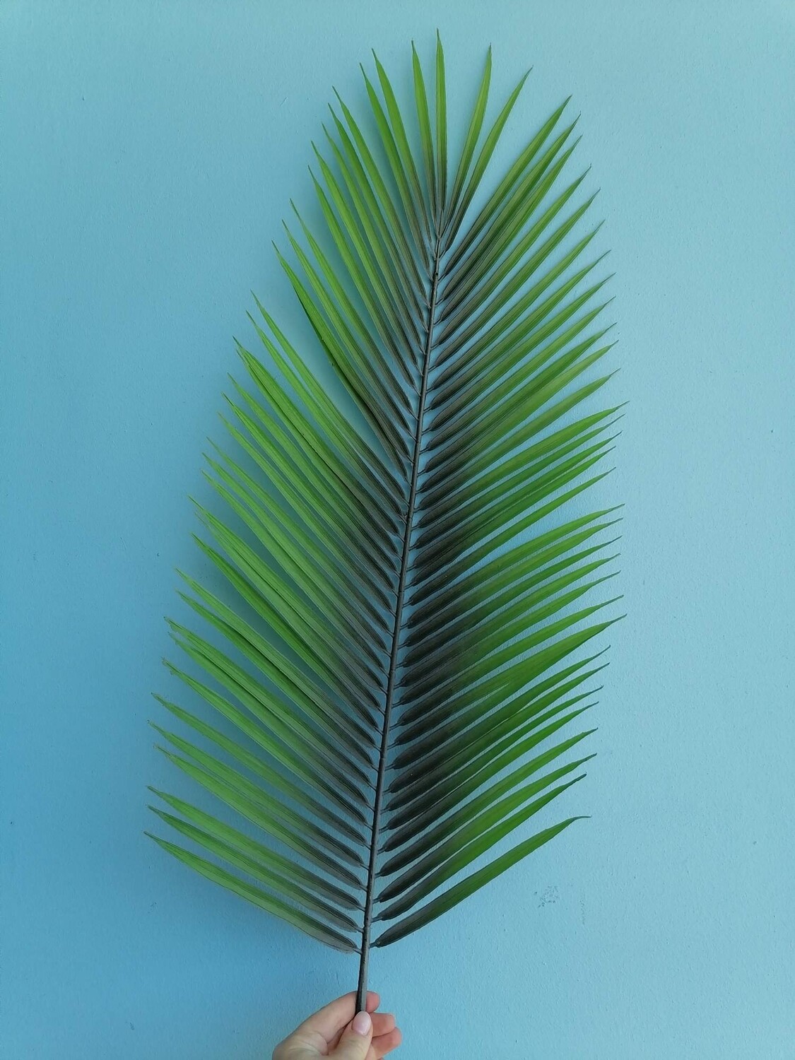 Palm leaf artificial green