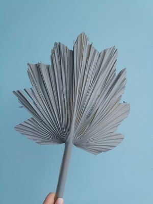Palm leaf natural dried gray