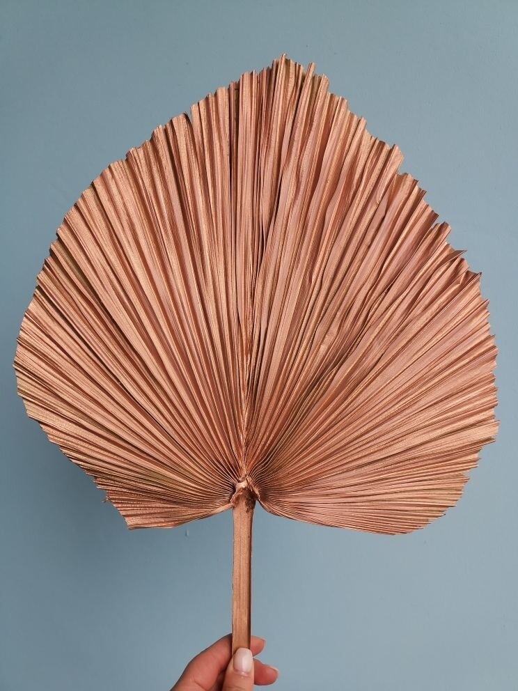 Palm leaf spear bronze dried