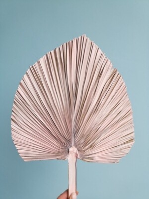 Palm leaf natural dried spear pink