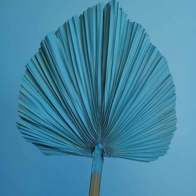 Palm leaf spear natural dried sea wave