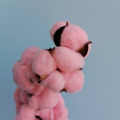 Хлопок розовый с коралловым оттенком на проволоке, 10шт