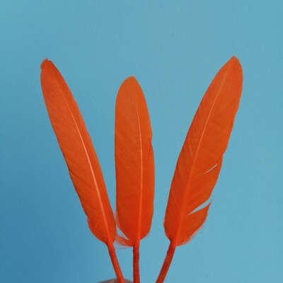 Перо птицы оранжевое 14 см