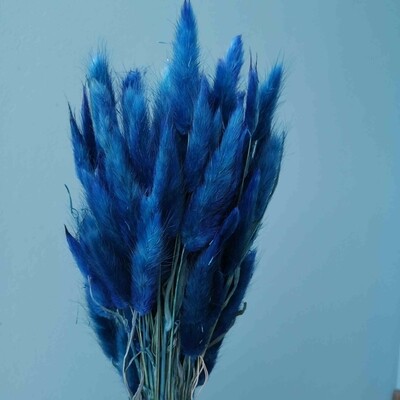 ​Lagurus dried flowers blue