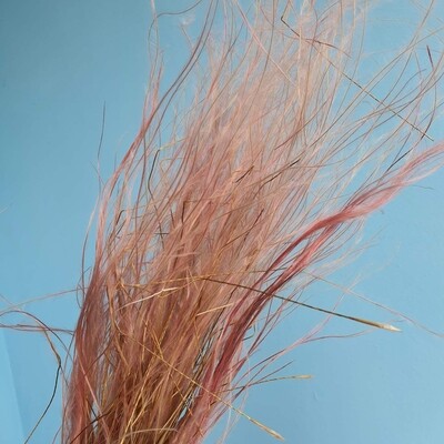 ​Стифа ковыль трава розовая сухоцвет