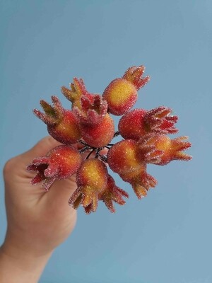 Набор ягод засахаренных на выставках 12шт красно-желтый 