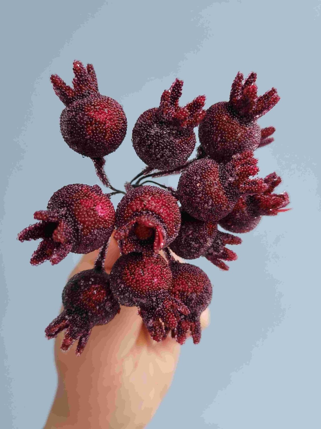 Набор ягод засахаренных на выставках 12шт красный