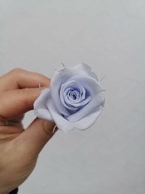 Роза голубая 3см стабилизированная