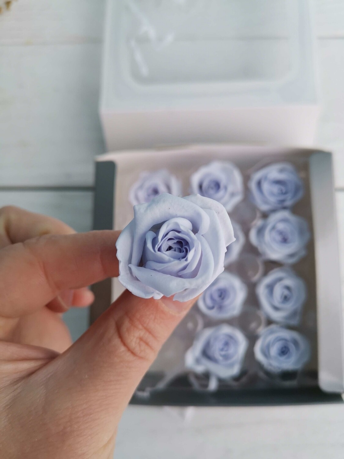 Роза голубая 2-2,5см стабилизированная