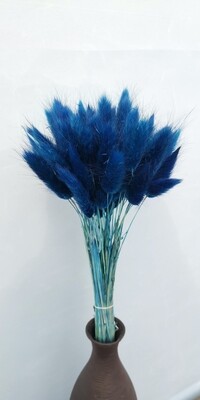 Лагурус синий 