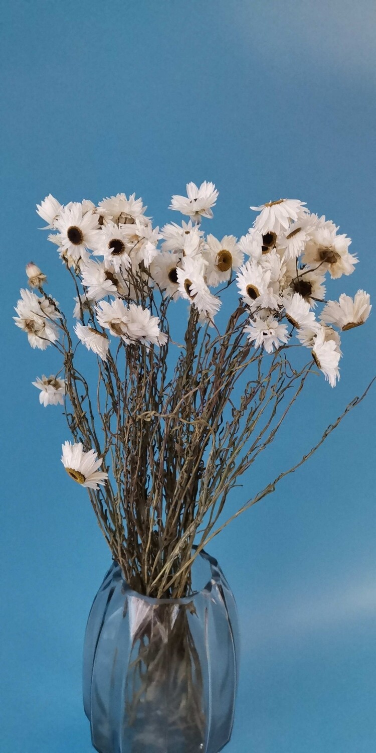 Acrolinium white