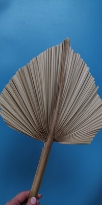 Palm leaf spear natural dried