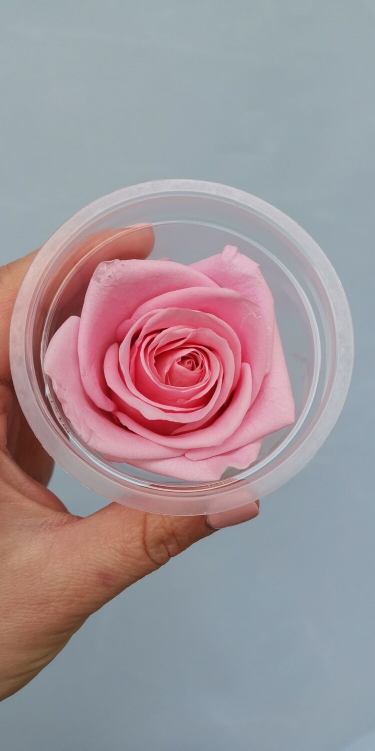 Роза розовая 4-5см стабилизированная распродажа