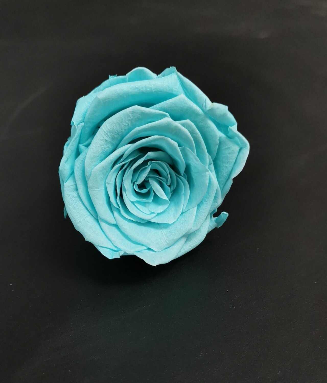 Роза тиффани 4 см