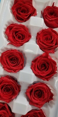 Роза красная 3,5-4см коробка 10шт стабилизированная РАСПРОДАЖА 