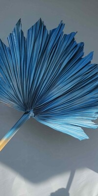 Лист пальмы сухой веером синий 