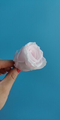 Роза розовая нежная 4см стабилизированная