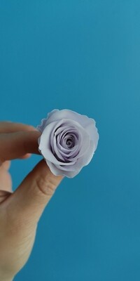 Роза сиреневая нежная 2-2,5см стабилизированная