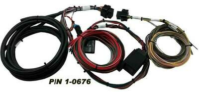 MPS Weeded, Tied and Labeled
Holley EFI Harness for HP / DOMINATOR
