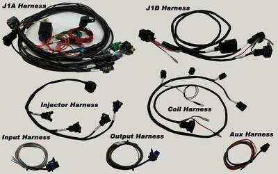 MPS Hayabusa Terminated
Holley EFI Harness for HP / DOMINATOR