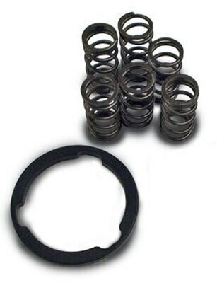 Carpenter Racing Clutch Mod Kit with Lock Ring Suzuki Hayabusa (99-07)
